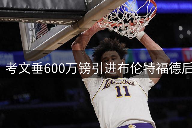 考文垂600万镑引进布伦特福德后卫平诺克