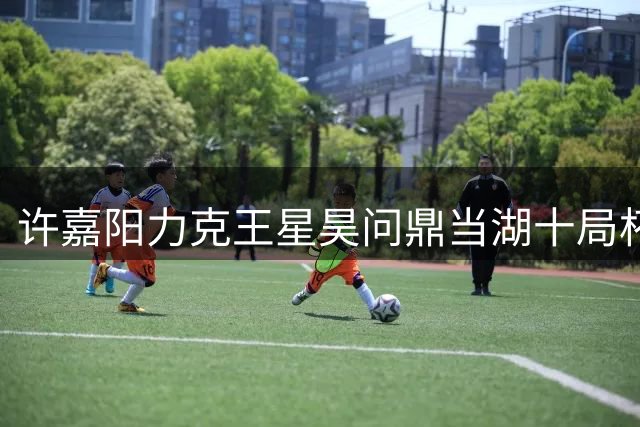 许嘉阳力克王星昊问鼎当湖十局杯 职业生涯再添佳绩