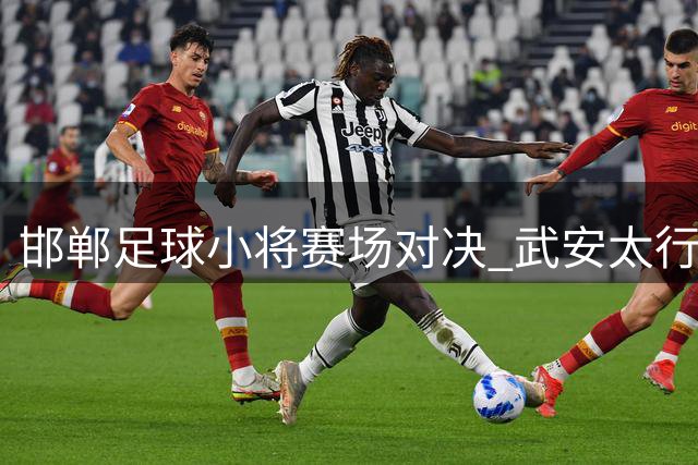 邯郸足球小将赛场对决 武安太行风骨碰撞大名千年文脉